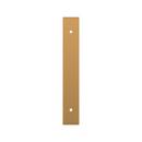 Signature Hardware Brushed Gold 5-1/16 in. Cabinet Pull Backplate Brushed Gold 