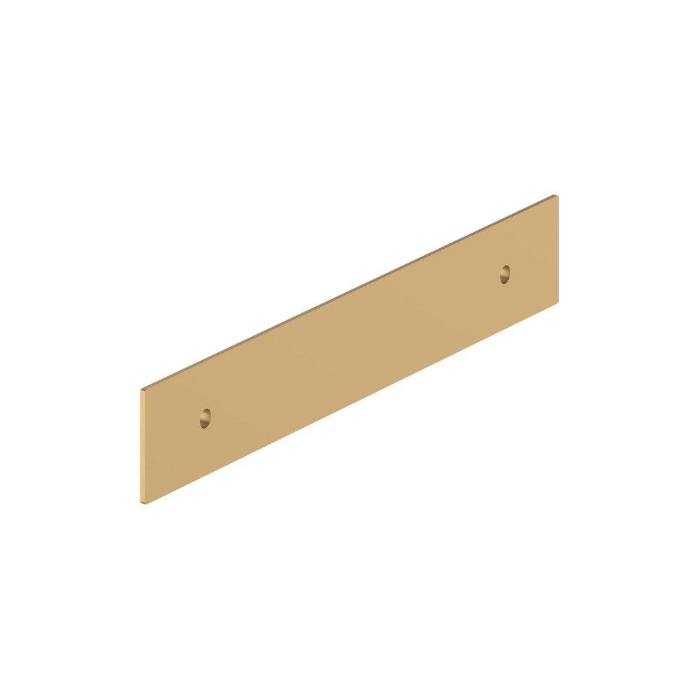 Signature Hardware Champagne Bronze 5-1/16 in. Cabinet Pull Backplate Brushed Gold 
