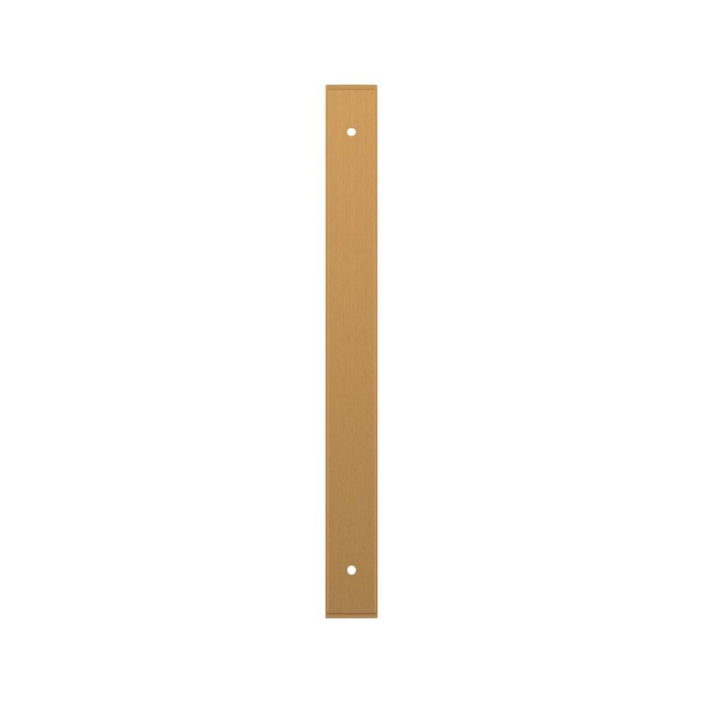Signature Hardware Brushed Gold 8-13/16 in. Cabinet Pull Backplate Brushed Gold 