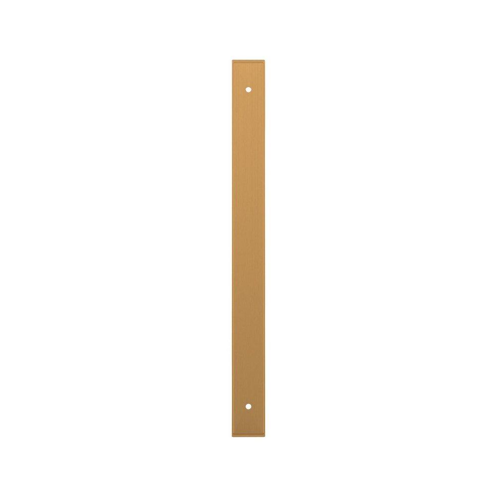 Signature Hardware Brushed Gold 10-1/16 in. Cabinet Pull Backplate Brushed Gold 