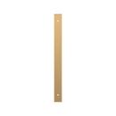Signature Hardware Champagne Bronze 10-1/16 in. Cabinet Pull Backplate Brushed Gold 