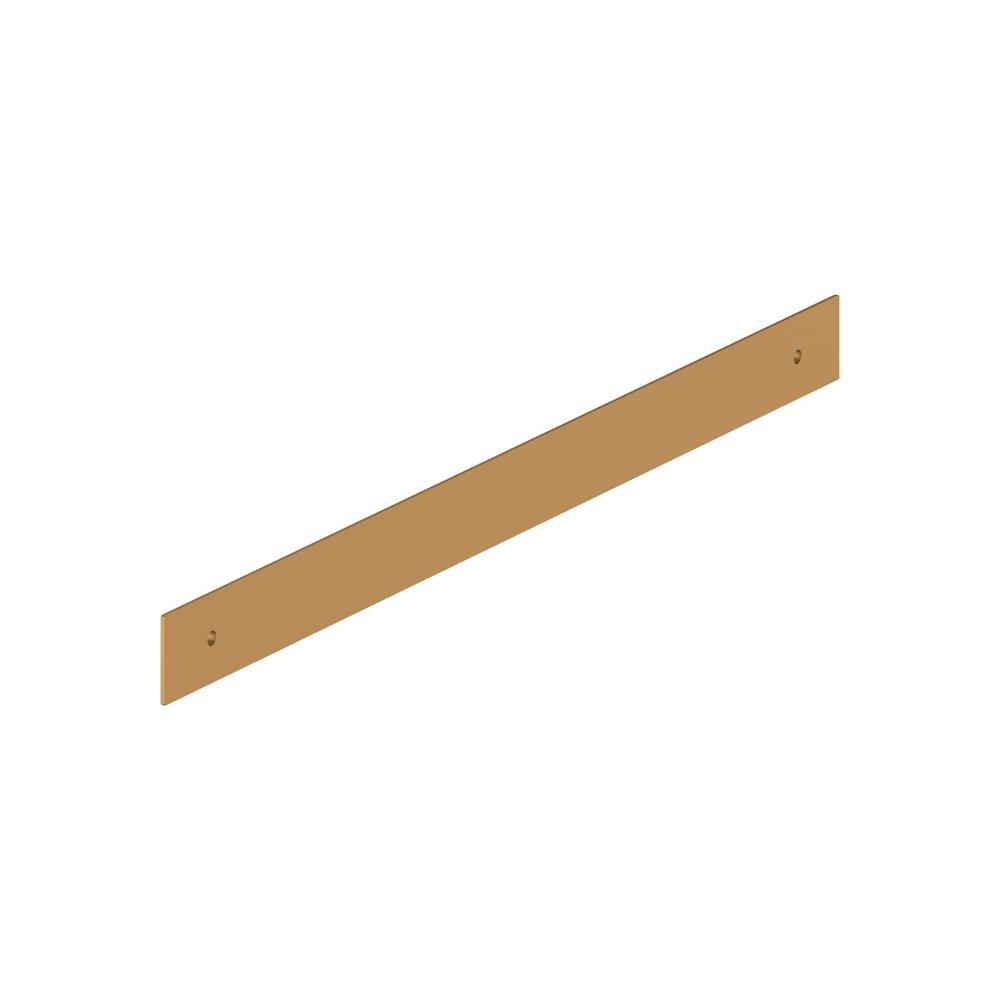 Cabinet Pull Backplate- 12-5/8"- BG 