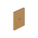 Signature Hardware Brushed Gold 1-9/16 in. Cabinet Knob Backplate Brushed Gold 