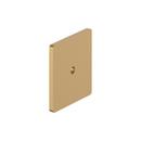 Signature Hardware Champagne Bronze 1-9/16 in. Cabinet Knob Backplate Brushed Gold 