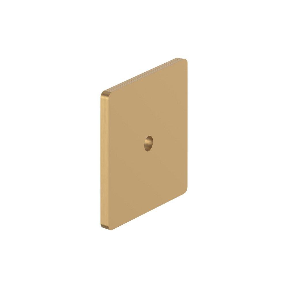 Signature Hardware Champagne Bronze 1-9/16 in. Cabinet Knob Backplate Brushed Gold 