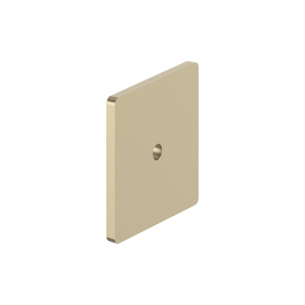 Signature Hardware Golden Champagne 1-9/16 in. Cabinet Knob Backplate Brushed Gold 