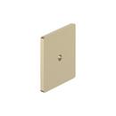 Signature Hardware Golden Champagne 1-9/16 in. Cabinet Knob Backplate Brushed Gold 
