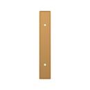 Signature Hardware Brushed Gold 3-3/4 in. Cabinet Pull Backplate Brushed Gold 