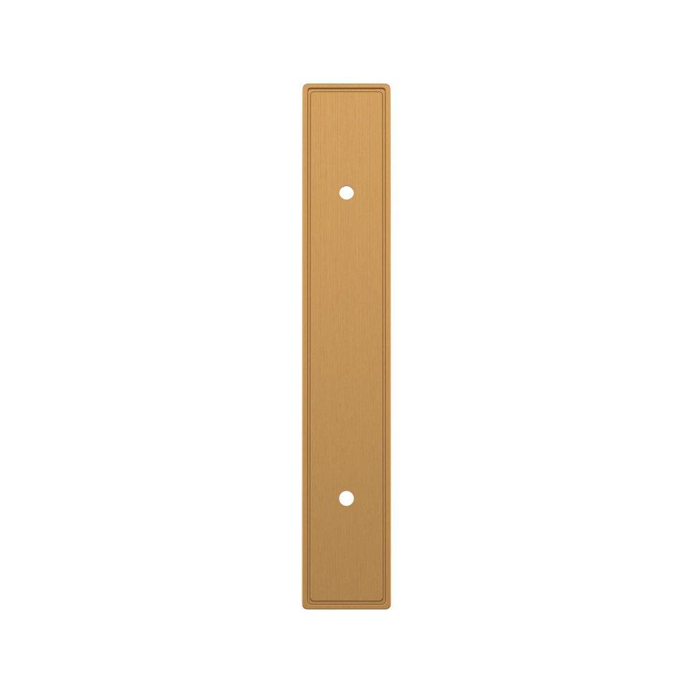 Signature Hardware Brushed Gold 3-3/4 in. Cabinet Pull Backplate Brushed Gold 