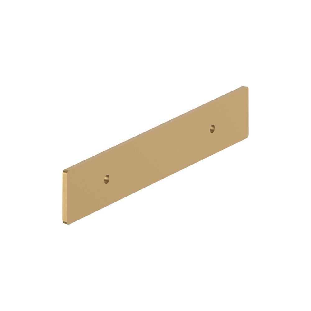 Signature Hardware Champagne Bronze 3-3/4 in. Cabinet Pull Backplate Brushed Gold 