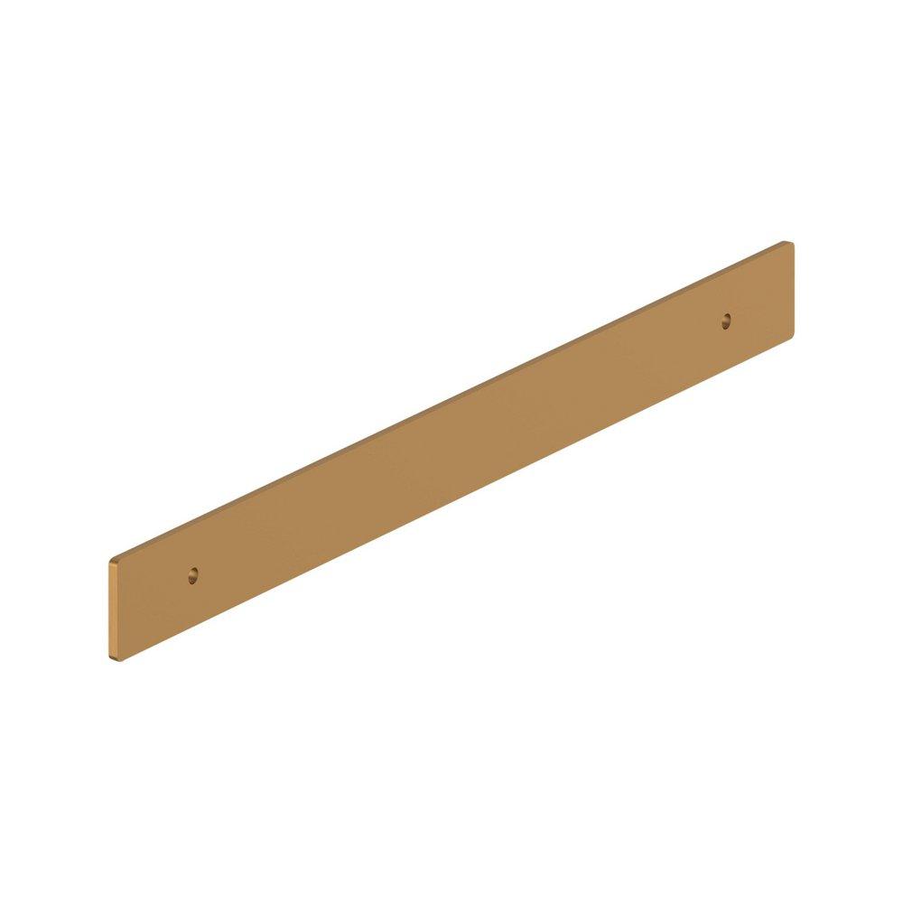 Signature Hardware Brushed Gold 10-1/16 in. Cabinet Pull Backplate Brushed Gold 