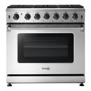 36 in. 6-Burner Gas Freestanding Range in Stainless Steel