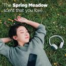 66 oz. 76-Pack Laundry Detergent in Spring Meadow 