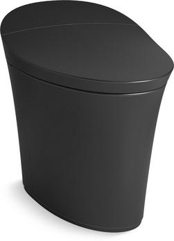 0.8 gpf/1.28 gpf Elongated Dual Flush One Piece Smart Toilet in Honed Black