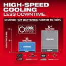 REDLITHIUM&trade; FORGE&trade; HD12.0 Battery Pack 