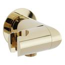 Swivel Water Supply Elbow and Bracket for Hand Shower in Polished Brass