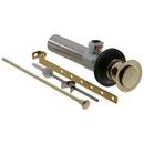 1-1/4 in. Pop-Up Drain Assembly in Brilliance® Polished Brass