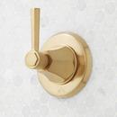 ELITA PRESSURE BALANCE SHOWER SYSTEM WITH SLIDE BAR AND HAND SHOWER - LEVER HANDLES - BRUSHED GOLD 