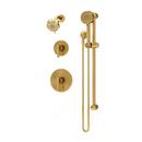 Two Handle Multi Function Shower System in Brushed Bronze
