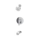 IDENTITY TUB/SHOWER TRIM