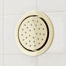 Single Function Body Spray in Polished Brass