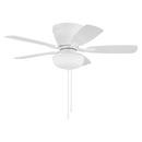 42in. 5-Blade Ceiling Fan with White with White/Washed Oak Blades 