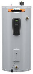 50 gal. Short 5.5kW 2-Element Residential Electric Water Heater 