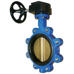 10 in. Ductile Iron EPDM Gear Operated Lug Butterfly Valve