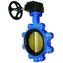 12 in. Ductile Iron Flanged Lug EPDM Gear Operator Handle Butterfly Valve 