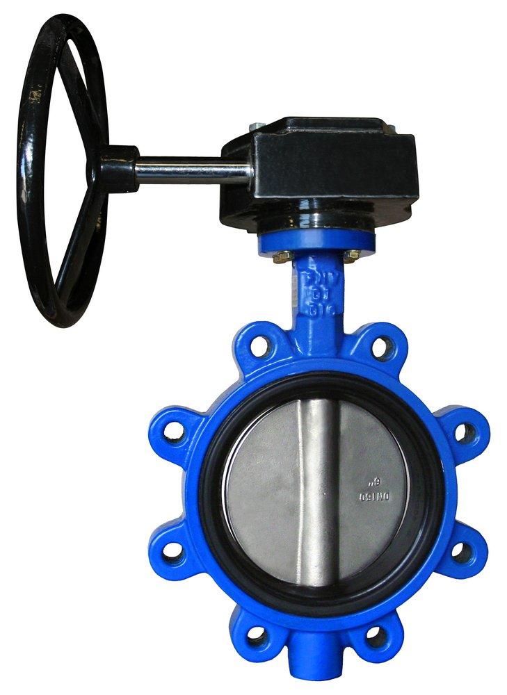 12 in. Ductile Iron Flanged Lug Buna-N Gear Operator Handle Butterfly Valve 
