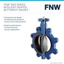 LF 5 DI SS EPDM 250# LUG BFV 