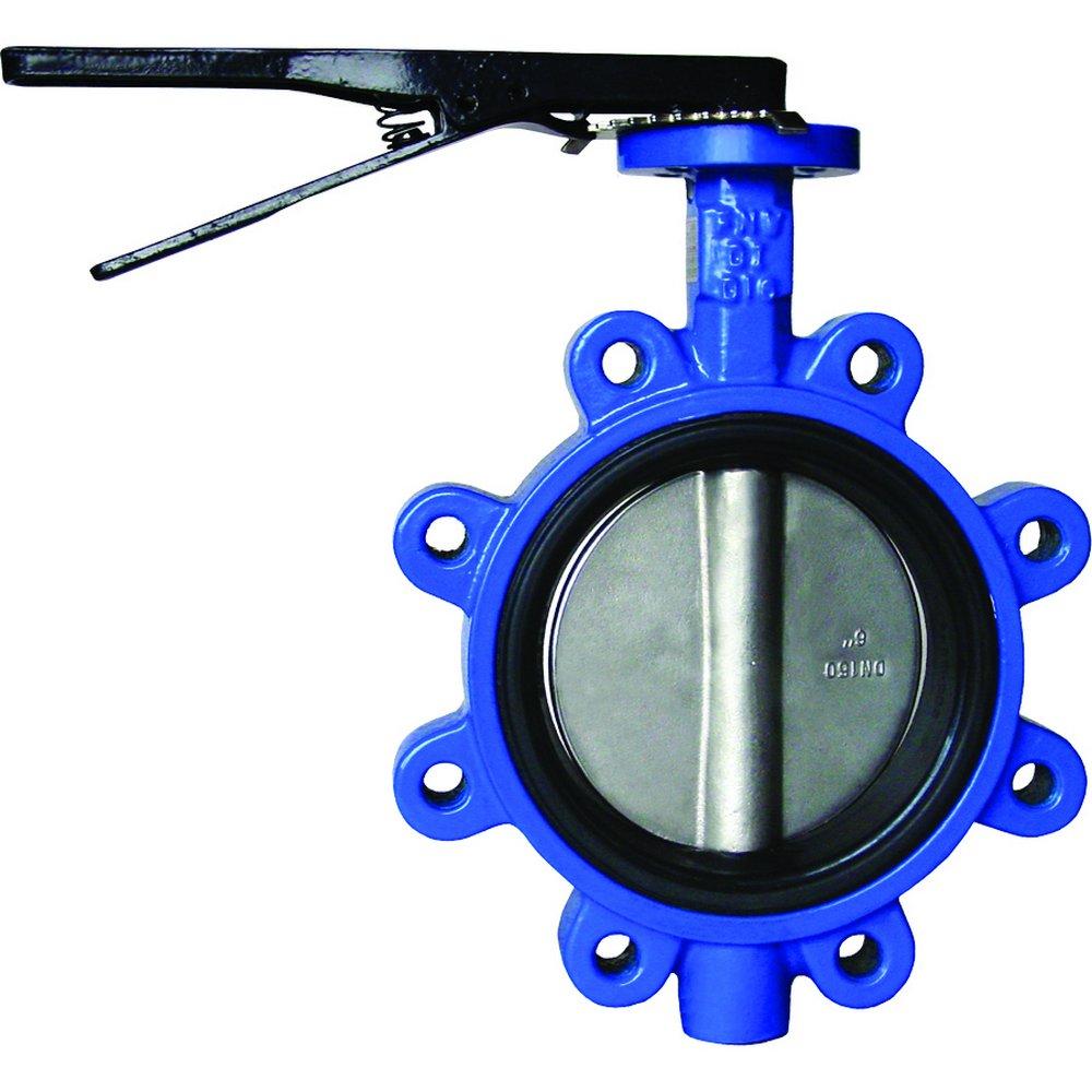 5 in. Ductile Iron Flanged Lug EPDM Lever Handle Butterfly Valve 