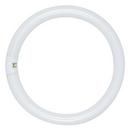 22W 8 in. T9 Circline Fluorescent Light Bulb 3000 Kelvin with 4-Pin Base