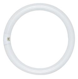 8 in. T9 Fluorescent Light Bulb with a 4-Pin Base in Warm White