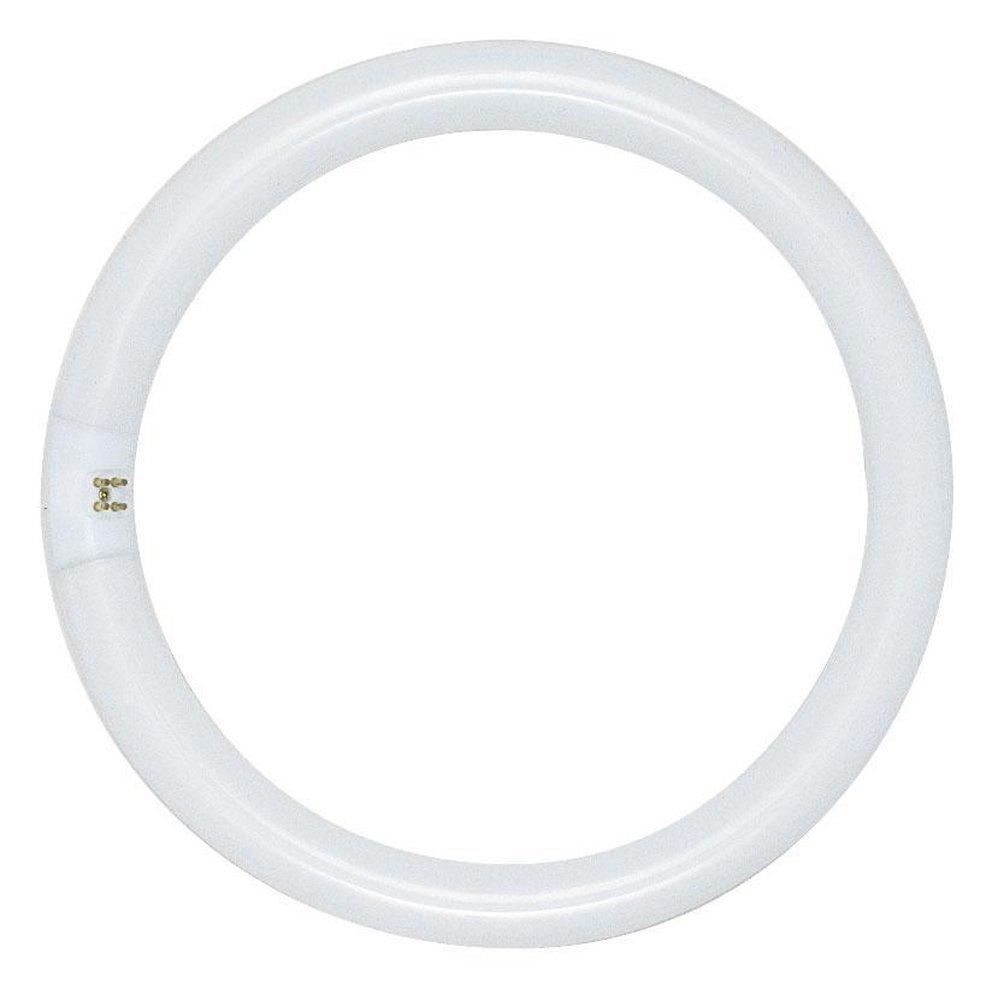 SATCO Cool White G10Q Fluorescent Light Bulb with 4-Pin Base 