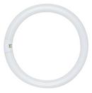 SATCO Warm White T9 Fluorescent Light Bulb with 4-Pin Base 