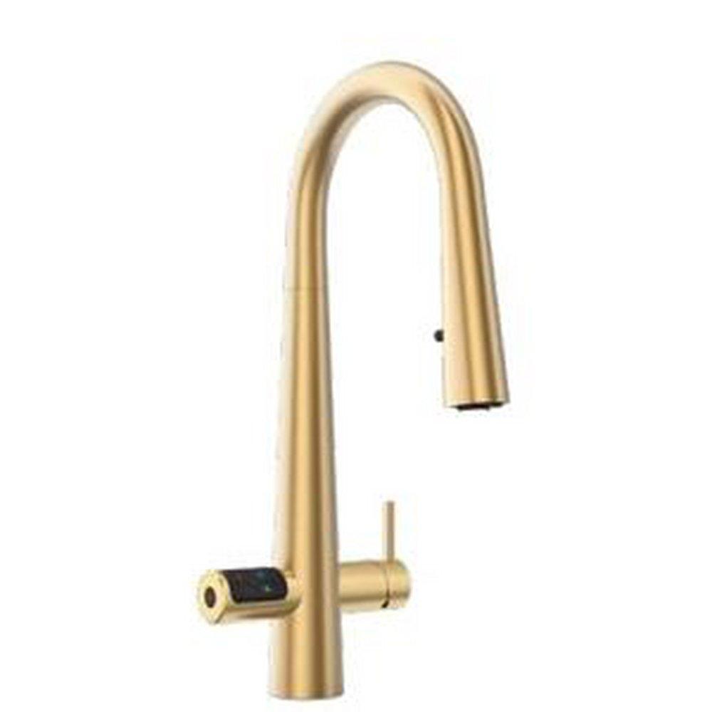 Single Handle Pull Down Kitchen Faucet in Brushed Gold 