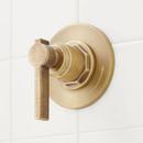 Single Handle Volume Control Valve Trim in Aged Brass