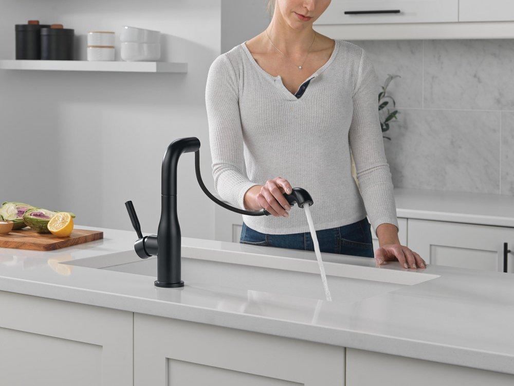Single Handle Pull Out Kitchen Faucet in Matte Black 