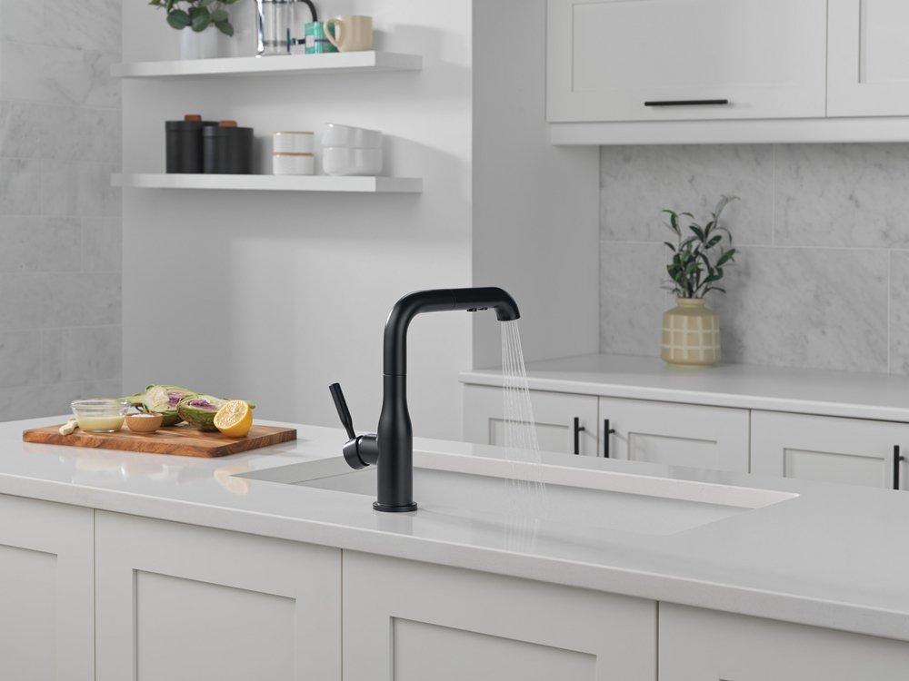 Single Handle Pull Out Kitchen Faucet in Matte Black 