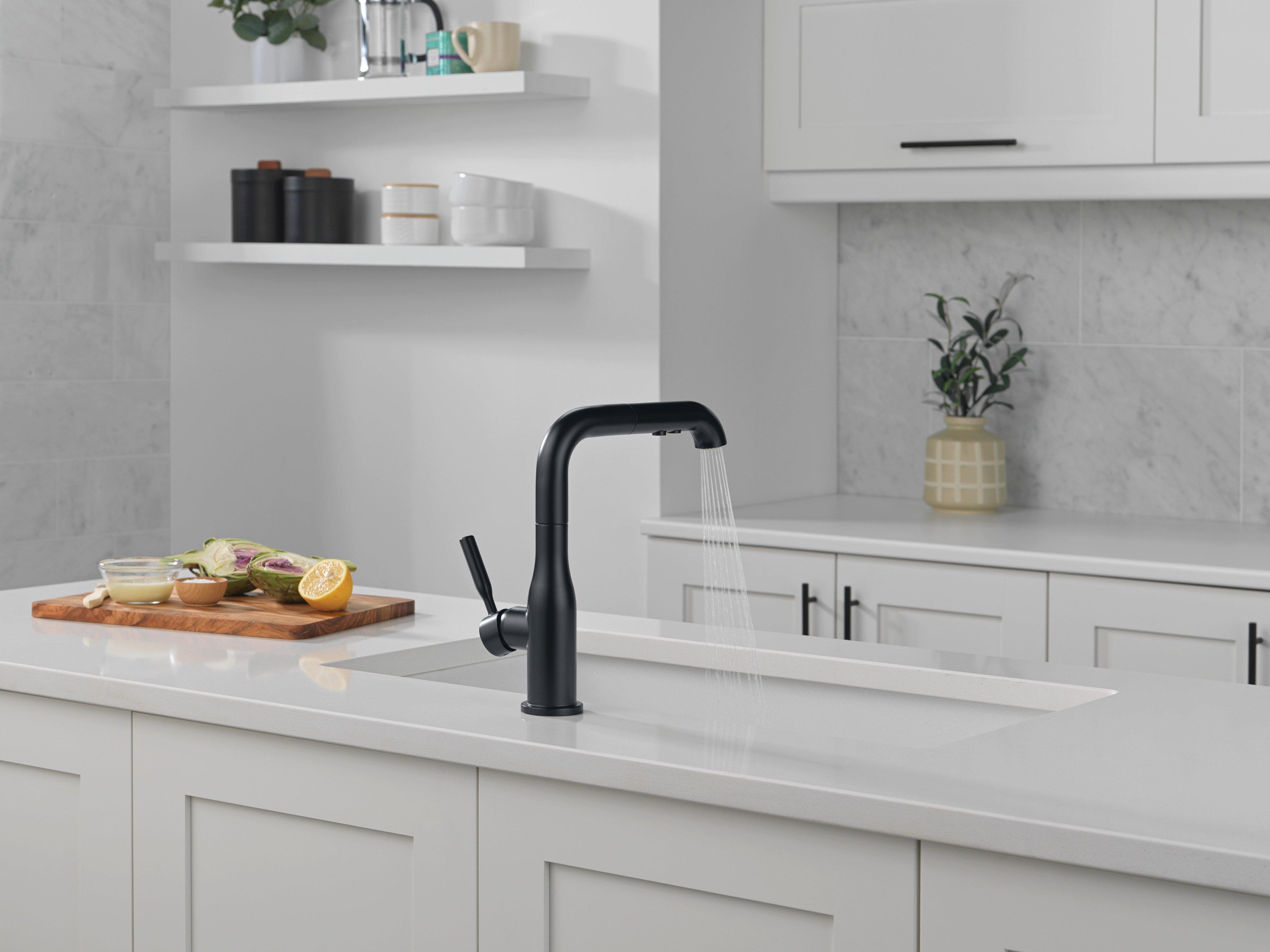 Single Handle Pull Out Kitchen Faucet in Matte Black 