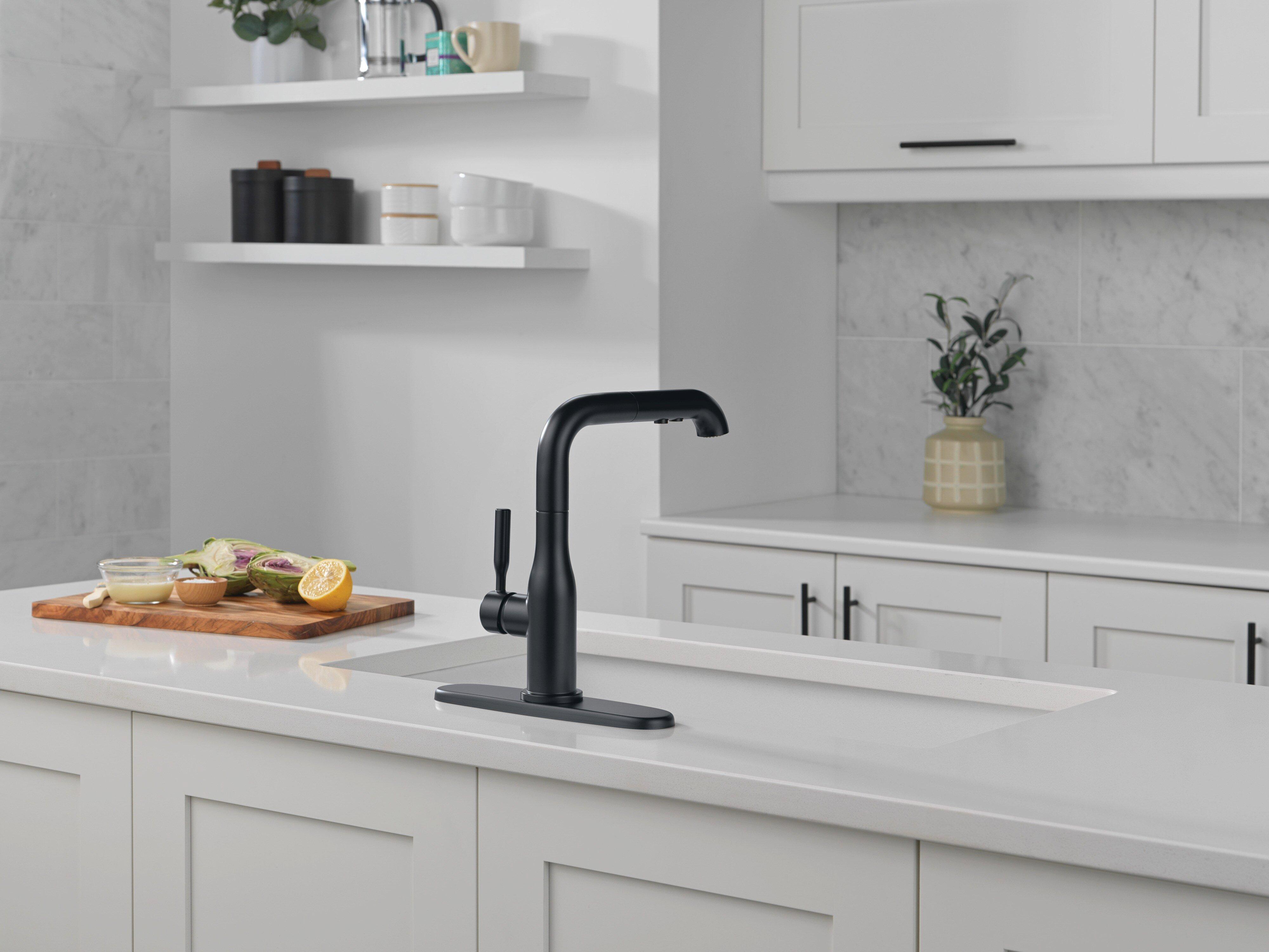 Single Handle Pull Out Kitchen Faucet in Matte Black 