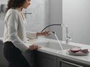 Single Handle Pull Out Kitchen Faucet in Chrome 