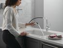 DELTA ALMARI PULL-OUT KITCHEN FAUCET 