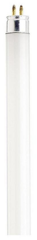 SATCO Cool White T5 Fluorescent Light Bulb with Mini Base 