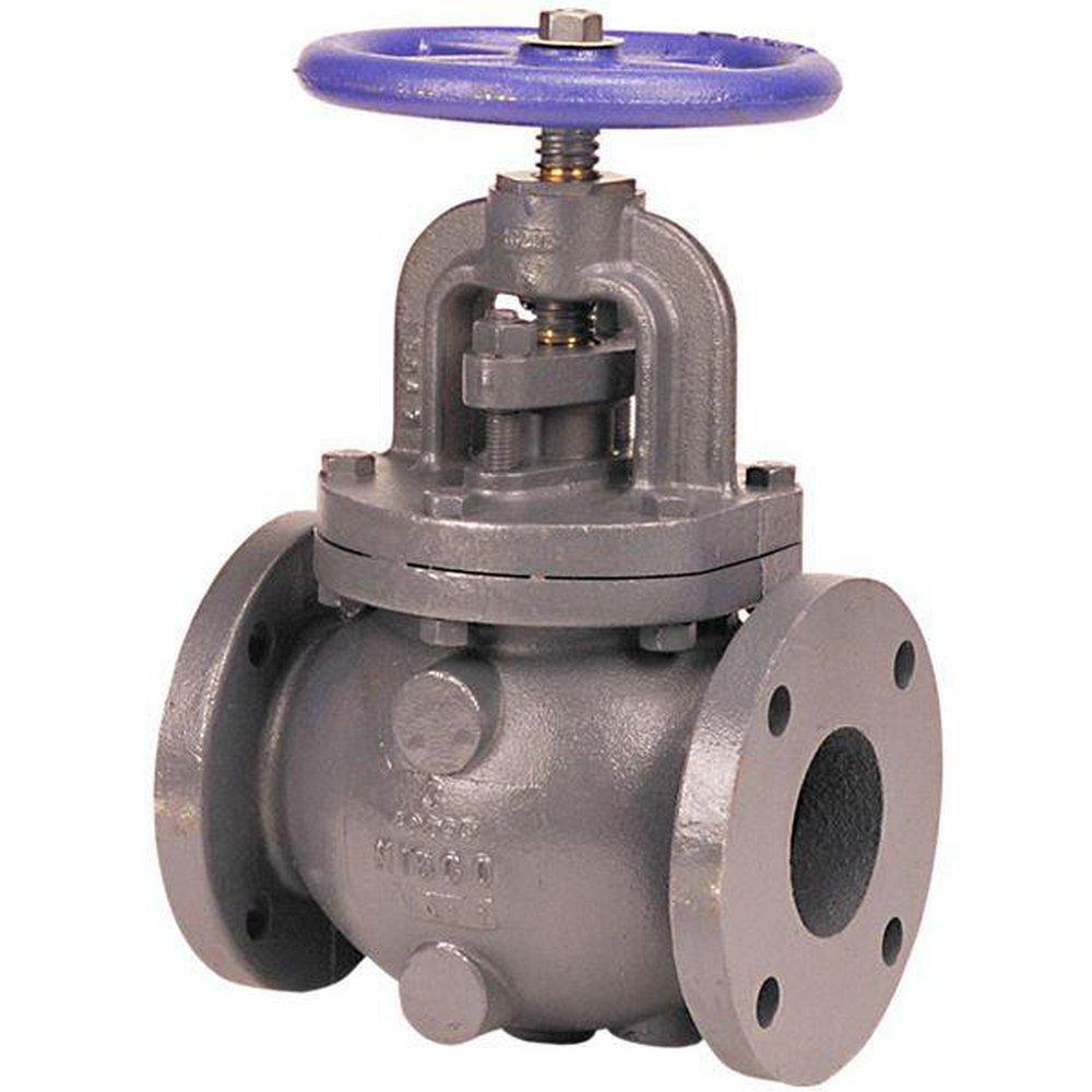 NIBCO Cast Iron Flanged Globe Valve 