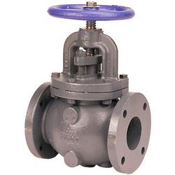 2-1/2 in. Cast Iron Flanged Globe Valve