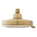 CCY 1.75 GPM 3F SHWRHD AGBR 