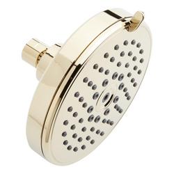 Multi Function Showerhead in Polished Brass