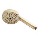 Multi Function Hand Shower in Aged Brass